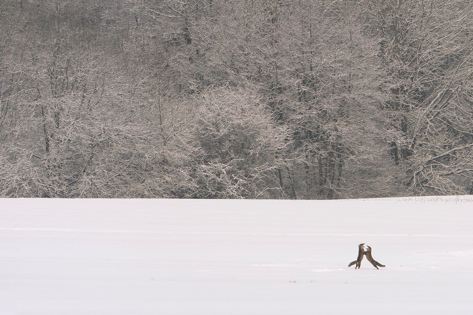 0be25f90-2312-4ccc-9836-45250b963ebf.jpg (435 KB)