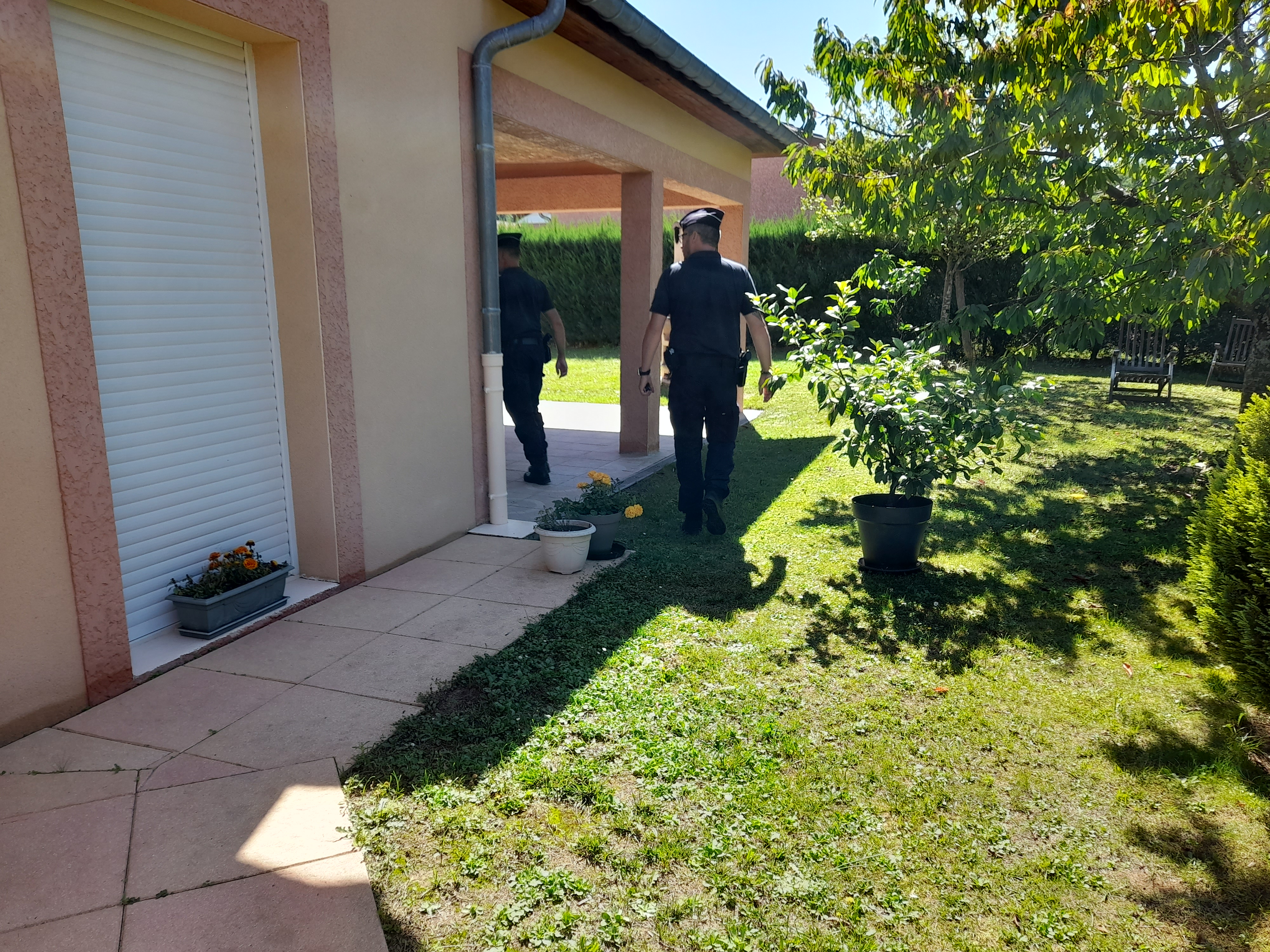 20230810_112815.jpg (4.56 MB)