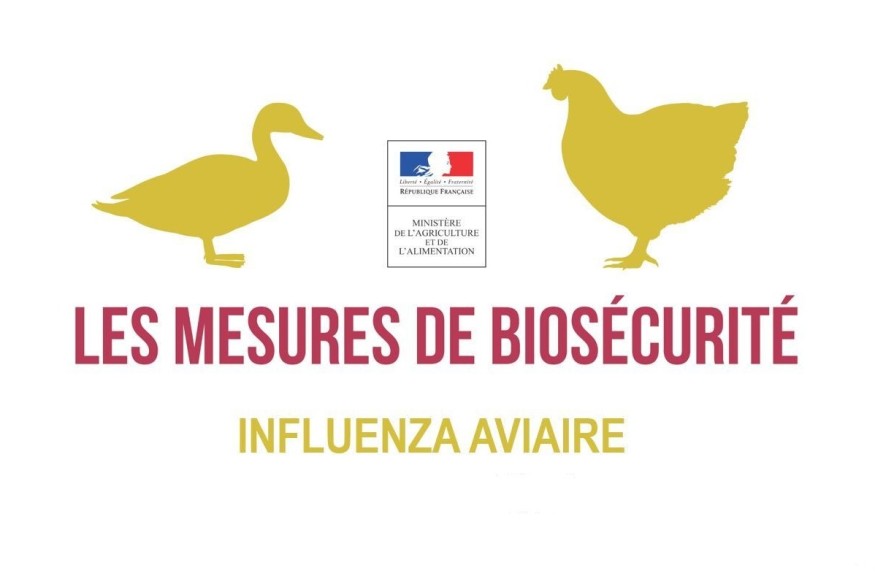 Mesures sanitaires renforcées face à la dermatose nodulaire contagieuse et de l'Influenza aviaire hautement pathogène