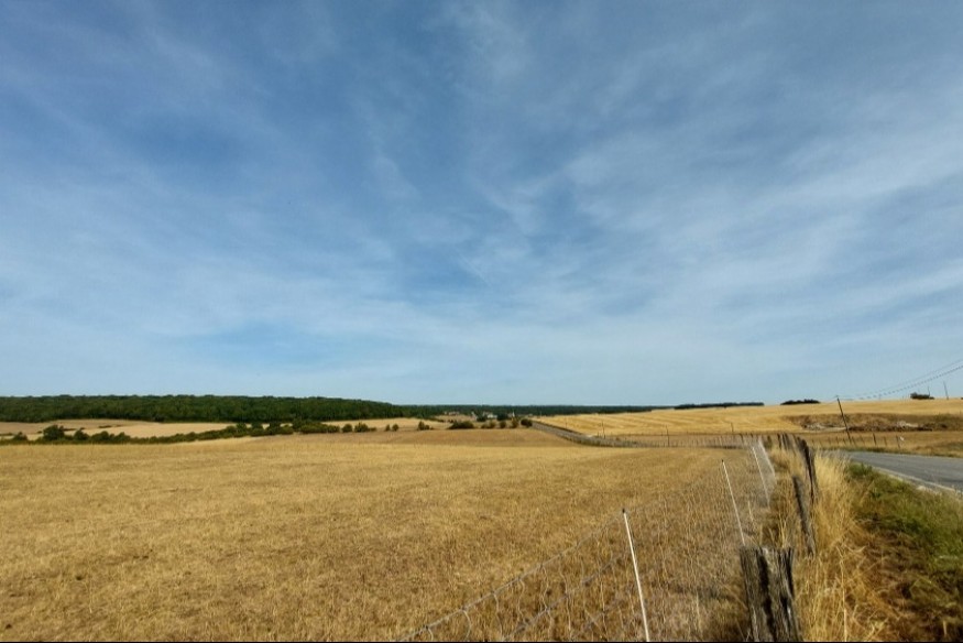 Sécheresse et canicule : l’agriculture meusienne en grande difficulté